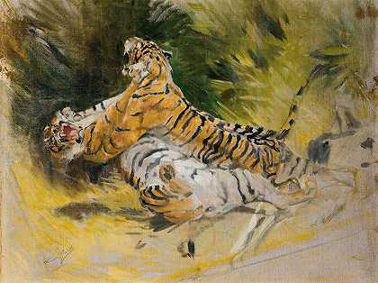 《两只老虎在战斗》
