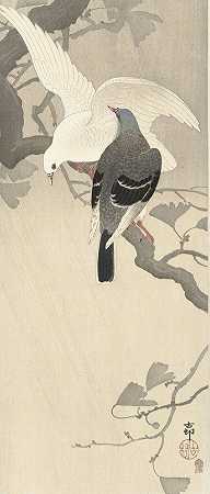 《树枝上的两只鸽子》作者：Ohara Koson