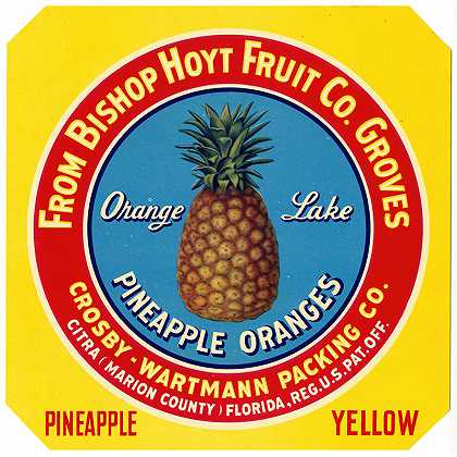 “橘子湖菠萝橘子标签-黄色，者