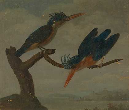 詹姆斯·索尔比《湖边的两只翠鸟》