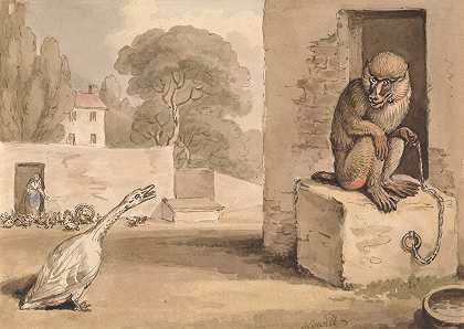 塞缪尔·霍伊特的《一只鹅和一只狒狒》