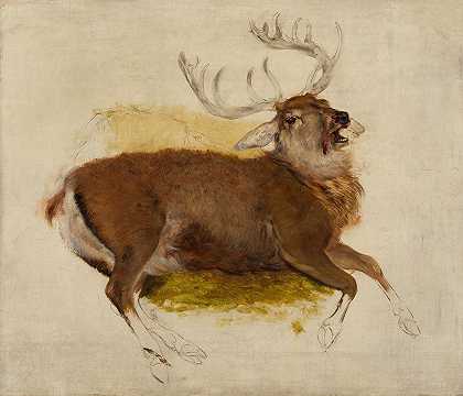 埃德温·亨利·兰瑟爵士的《垂死的雄鹿》