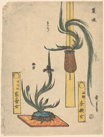andōHiroshige的《插花岩碗里的篮松和鸢尾》