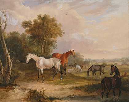 弗朗西斯·卡尔克拉夫·特纳的《马在吃草一头灰种马在草地上与母马一起吃草》