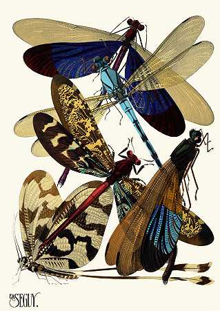 埃米尔·艾伦·塞盖伊的《昆虫Pl.02》