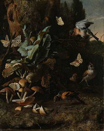 《动物与植物》，作者：Melchior d’Hondeceter