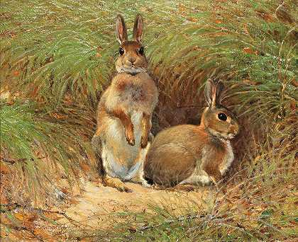 Victor Stoetzner Lund的《兔子》