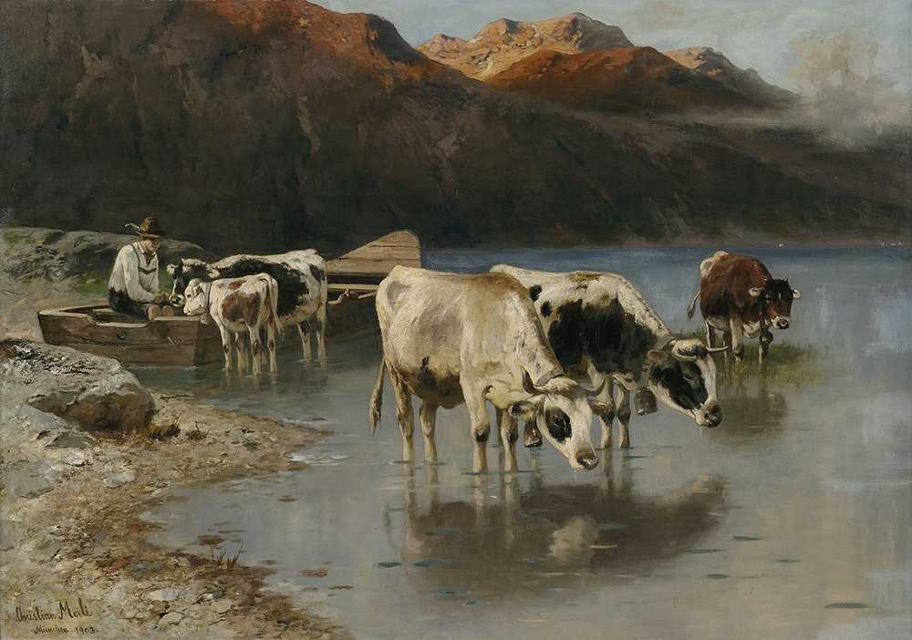 克里斯蒂安·马里（Christian Mali）在湖岸上与奶牛一起牧羊