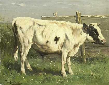 约翰内斯·休伯图斯·莱昂纳多斯·德·哈斯的《年轻的公牛》