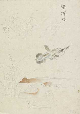 石川喀山的《水鸟》