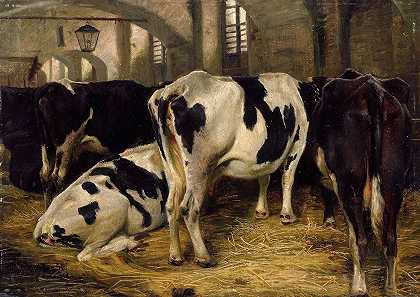 Anders Askevold的《奶牛棚》
