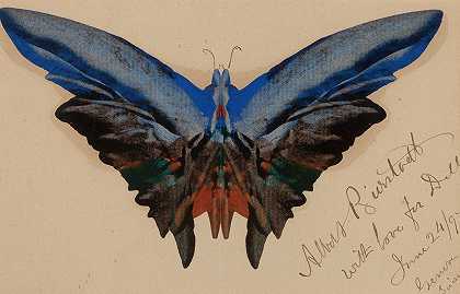 阿尔伯特·比尔斯塔特的《蝴蝶，献给戴尔》