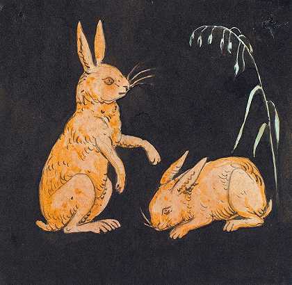黑色背景的两只兔子。P.C.Skovgaard的装饰草稿