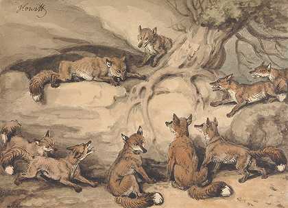塞缪尔·霍伊特的《九只狐狸围着一棵树伊索寓言的插图》《失去尾巴的狐狸》
