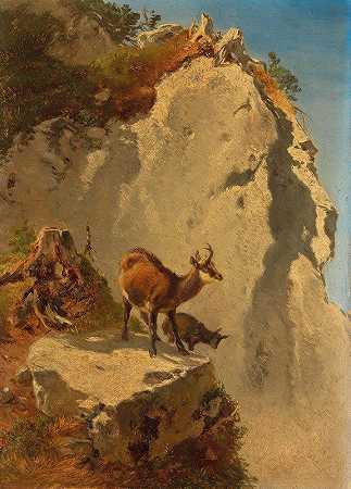 安东·施罗德的《高山上的两只羚羊》