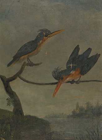 詹姆斯·索尔比《湖边的两只翠鸟》
