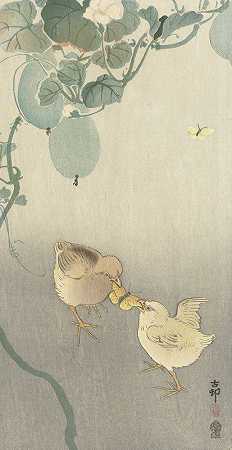 《两只小鸡为蝴蝶而战》作者：Ohara Koson