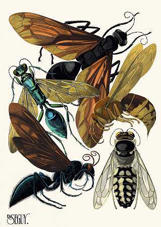 埃米尔·艾伦·塞盖伊的《昆虫Pl.17》