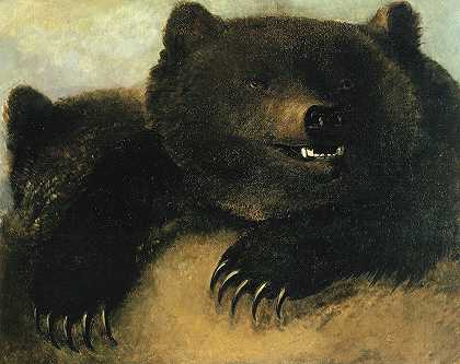 乔治·卡特林的《灰熊的武器和相貌》