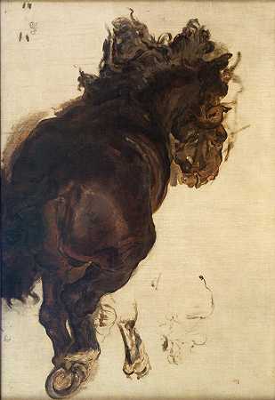 Jan Matejko的《翻身马的研究》