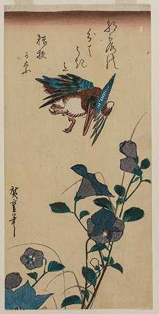 andōHiroshige的《翠鸟与中国钟花》