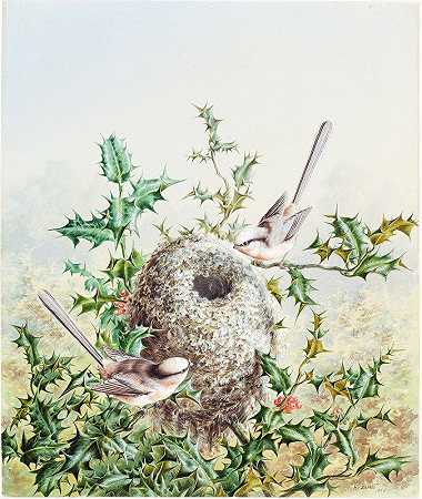 哈里·布莱特的《珊瑚礁和它们在冬青树上的巢穴》