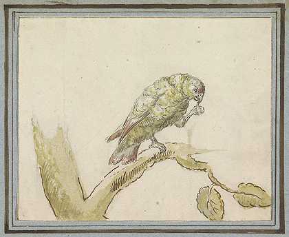 彼得·卡斯特尔斯三世《树枝上的鹦鹉》
