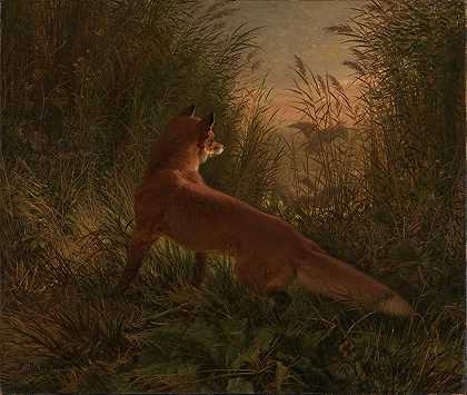 西格瓦德·达尔的《狐狸》