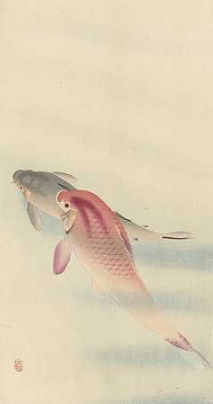 《两条鲤鱼》作者：Ohara Koson