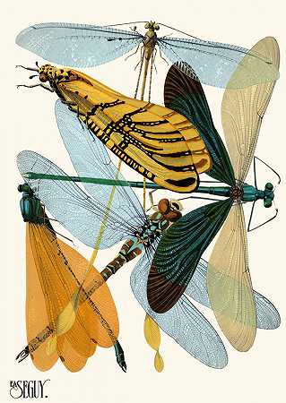 埃米尔·艾伦·塞盖伊的《昆虫Pl.20》