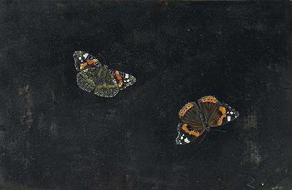 乔瓦娜·加佐尼的《两只蝴蝶》