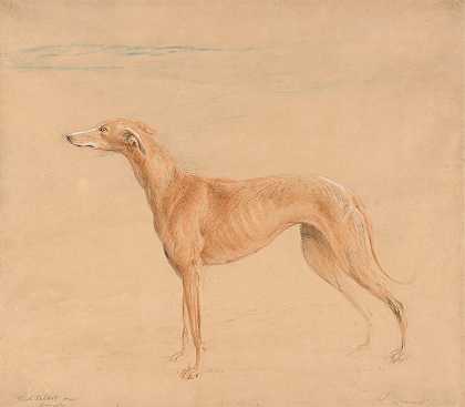 约翰·林内尔的《厄尔·塔尔博特猎犬，托马辛》