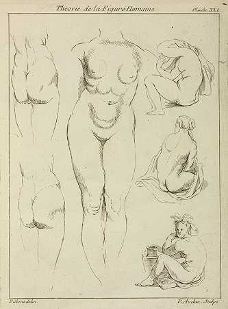 《女性躯干、臀部和坐姿的研究》，彼得·保罗·鲁本斯的背视图