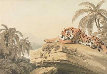 塞缪尔·霍伊特的《老虎休息》