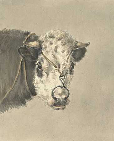 “一头牛的头，鼻子上有一个戒指，前面是让·伯纳德