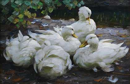 亚历山大·科斯特的《五只休息的白鸭子》