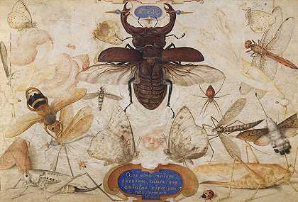 乔里斯·霍夫纳格尔的《昆虫与风神之首》