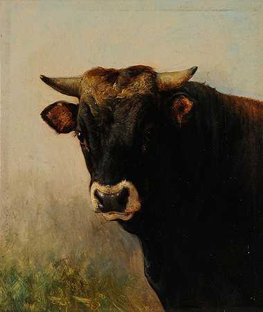 雅克·雷蒙德·布拉卡萨特的《黑牛肉头》