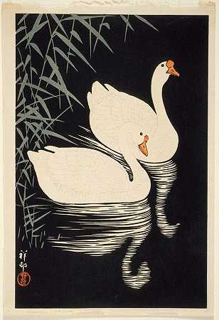 Ohara Koson的《白鹅在芦苇边游泳》