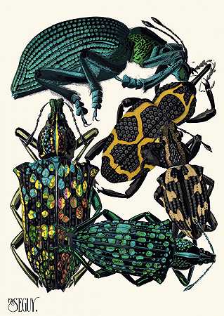 埃米尔·艾伦·塞盖伊的《昆虫P.06》