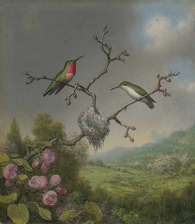 马丁·约翰逊·海德的《蜂鸟与苹果花》