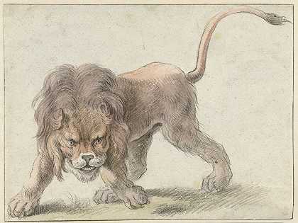 科内利斯·萨弗莱文的《狮子》