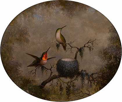 马丁·约翰逊·海德的《蜂鸟和它们的巢》