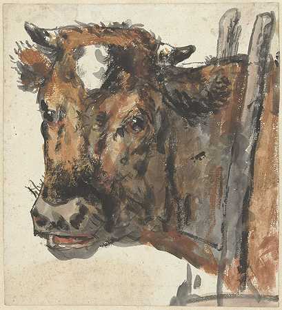 Jan Kobell II的《Kop van een koe》