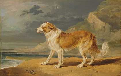 詹姆斯·沃德的《粗毛牧羊犬》