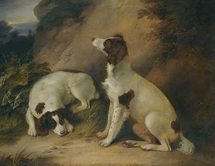 理查德·利夫赛（Richard Livesay）的《岩石风景中的两只斯普林格猎犬》
