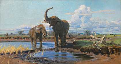 Wilhelm Kuhnert的《水洞里的大象》