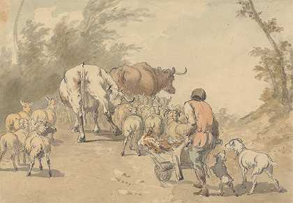 罗伯特·希尔斯的《羊群和奶牛群》
