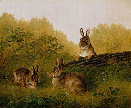 《原木上的兔子》阿瑟·菲茨威廉·泰特著