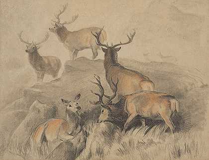 埃德温·亨利·兰瑟爵士的《森林中最好的几头鹿》